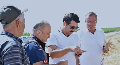 Karapınar'da sezonun son buğday hasadı yapıldı