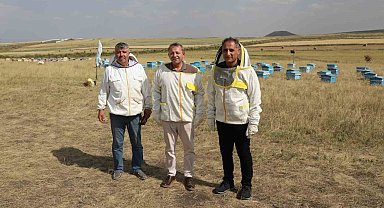 Kars'ta 2025 yılında bin 800 ton bal rekoltesi beklentisi