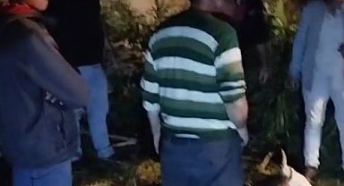 Kars'ta çukura düşen büyükbaş hayvan kurtarıldı