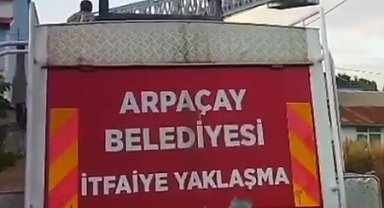 Kars'ta yuvadan düşen yavru leylek, yeniden yuvasına konuldu