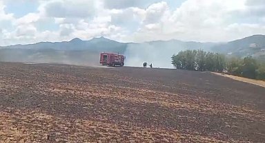 Kartalın elektrik tellerine çarpmasıyla başlayan yangın büyümeden söndürüldü