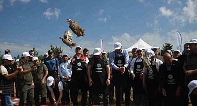 Kastamonu'da doğaya 2 bin 100 kınalı keklik salındı