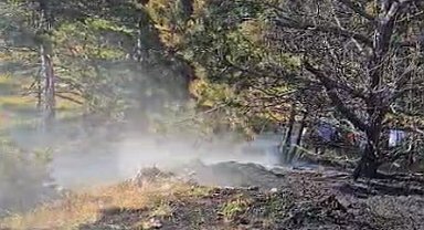 Kastamonu'da ormanlık alanda çıkan yangın büyümeden söndürüldü