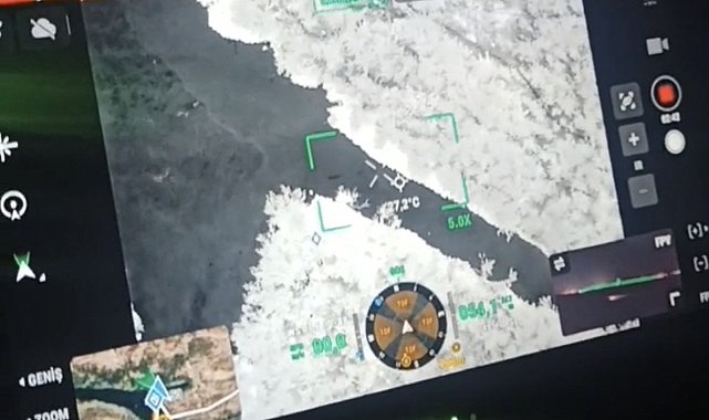 Kaybolan 3 büyükbaş hayvan termal dronla bulundu