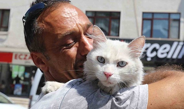 Kayıp kedisine günler sonra kavuştu, bu kez mutluluktan ağladı