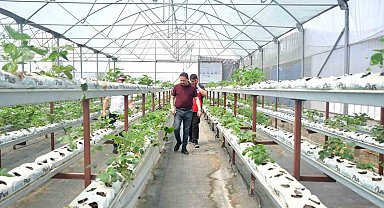 Kaymakam Kayabaşı Biga'da topraksız çilek üretimi yapan serayı ziyaret etti