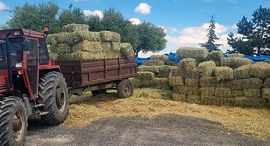 Kayseri Talas'tan üreticiye yem desteği