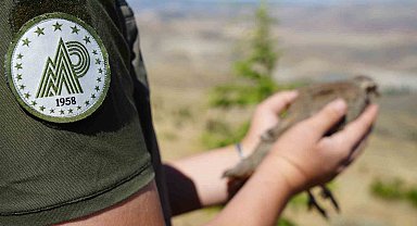 Kene avcısı keklikler doğaya salındı