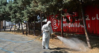 Kene ve haşerelerle mücadele için ilaçlama çalışmaları başladı 