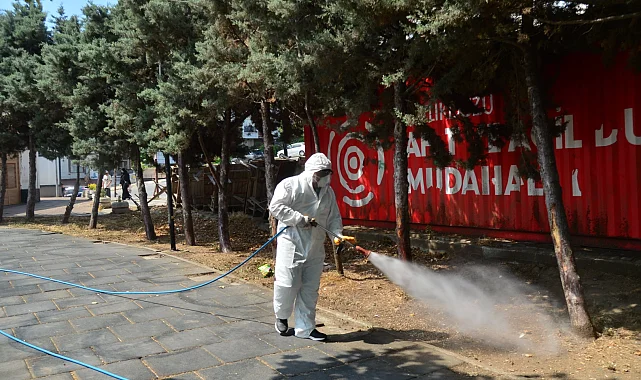 Kene ve haşerelerle mücadele için ilaçlama çalışmaları başladı