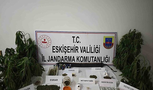 Kenevir bitkisi ekimi yapılan ikamete operasyon düzenledi