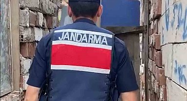 Kırıkkale'de evin bahçesinde bin 53 kök kenevir ele geçirildi: 2 gözaltı