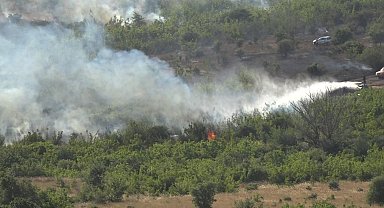 Kırklareli'nde ağaçlık alanda yangın: 150 dekar alan zarar gördü