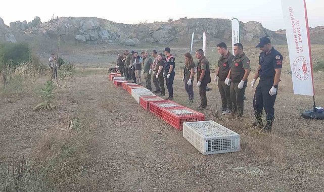 Kırklareli'nde doğaya keklik salındı