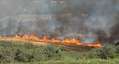 Kırklareli'nde yangın: 500 dekar tarım arazisi ve ağaçlık alan zarar gördü