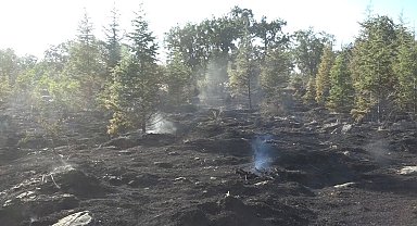 Kırklareli'nin Yündalan köyündeki orman yangını kontrol altına alındı