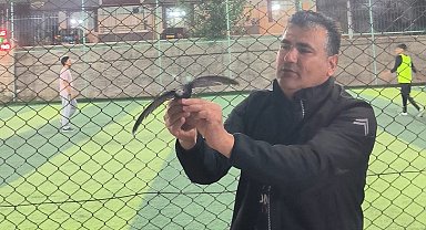 Kırşehir'de yaralı ebabil kuşu tedavi altına alındı