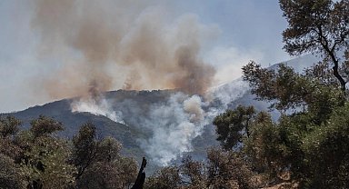 Kocaeli Aydınlar Ocağı'ndan yangınlarla mücadeleye 9 maddelik öneri