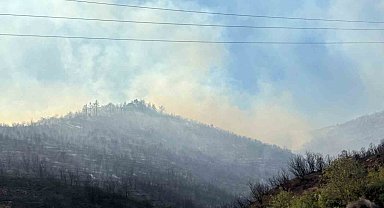 Kocaeli Büyükşehir Belediye Başkanı Büyükakın, orman yangınındaki son durumu açıkladı