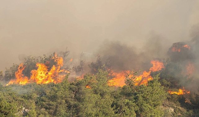 Kocaeli itfaiyesinden Sakarya'ya destek
