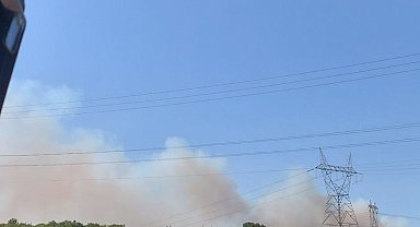 Kocaeli'de ormanlık alanda yangın çıktı