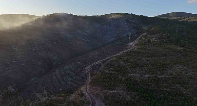 Kocaeli'deki orman yangını söndürüldü
