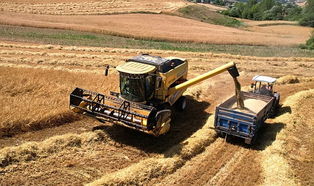 Kocaeli'de 57 bin dekarda hasat sevinci
