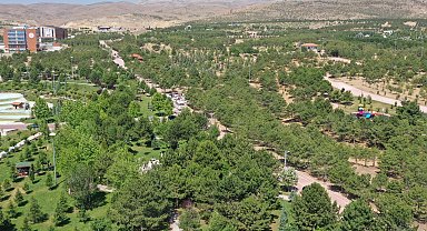 Konya Dutlu Millet Bahçesi'nde ateşli piknik yasaklandı