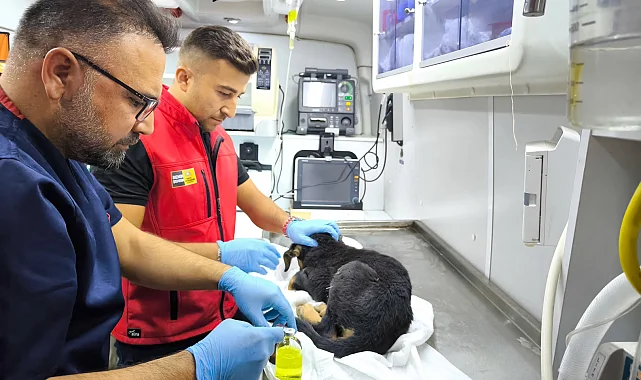 Konya İtfaiyesi'nden yürekleri ısıtan kurtarma operasyonu