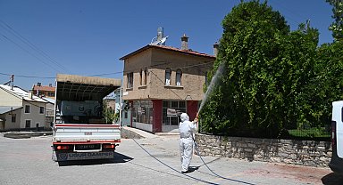 Konya Selçuklu'da yeşil alan ilaçlamaları sürüyor