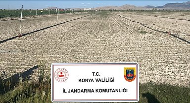 Konya'da jandarmadan uyuşturucu operasyonları