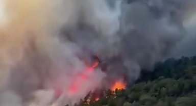 Konya'daki orman yangını kontrol altına alındı