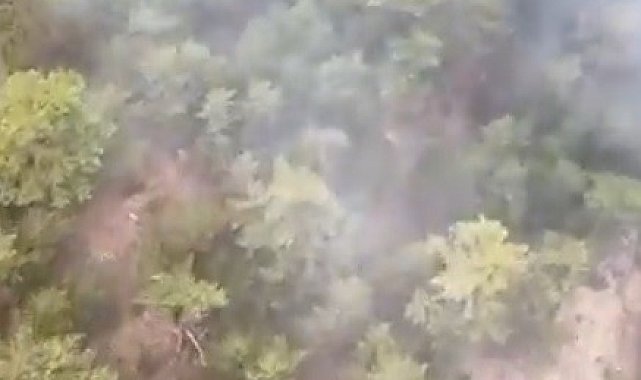 Konya'daki orman yangınına müdahale sürüyor
