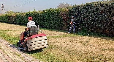 Körfez'de yeşil alanlarda bakım ve çim biçme çalışması