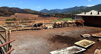 Köy sakininin ahırı belediye çalışanları tarafından yeniden inşa edildi