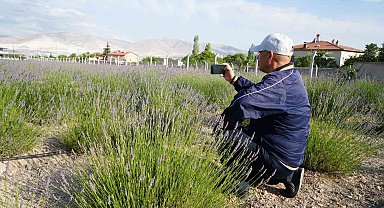 Köyde 'lavanta bahçesi' turizmi