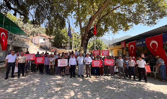 Köylüler Milas'tan seslendi: "Zeytin ve maden birlikte 40 yıldır mümkündü, şimdi de mümkün"