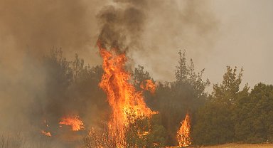 Kula'da orman yangınına müdahale sürüyor