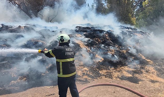 Kumlu'da saman balyaları alevlere teslim oldu