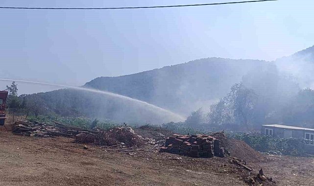Kumluca'da makilik yangını 7 dakikada müdahale ile kontrol altın alındı
