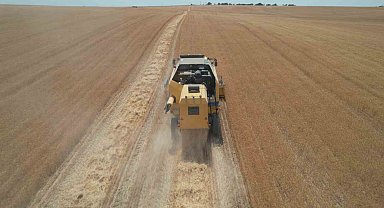 Kurak yıla rağmen umut veren hasat: Verimde yüzde 30 artış