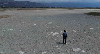 Kuraklığın etkisiyle çöle dönen Milleyha'da kuş gözlemcileri gelecekten ümitli