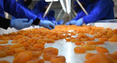 Kuru kayısı dış ticaretinde düşüş sürüyor