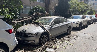 Kurumuş ağaç dalı aracın üzerine düştü: Vatandaş son anda kurtuldu