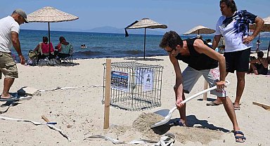 Kuşadası'nda caretta caretta yumurtaları zarar görmemesi için taşındı