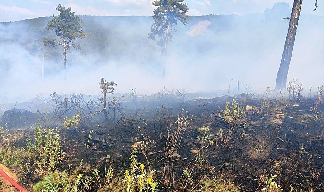 Kütahya'da gençleştirme sahasında çıkan orman yangını söndürüldü