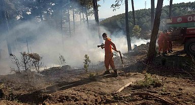 Kütahya'da orman yangını