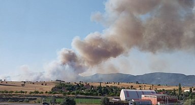 Kütahya'da orman yangını