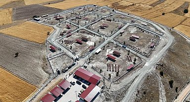 Kütahya'da sahipsiz sokak hayvanlarına doğal yaşam alanı