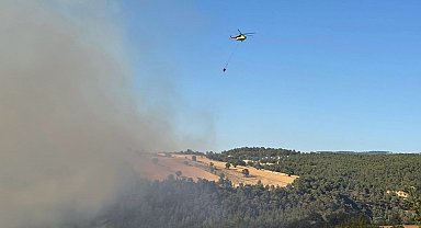 Kütahya'daki orman yangını kısmen kontrol altına alındı